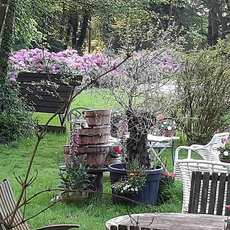 Ruhige An Der Vechte - Zweites Gluck