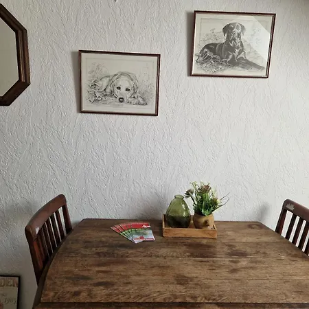 Ruhige An Der Vechte - Zweites Gluck Apartment